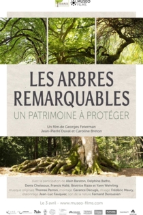 Les arbres remarquables, un patrimoine à protéger
