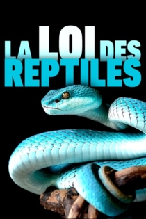 La loi des reptiles