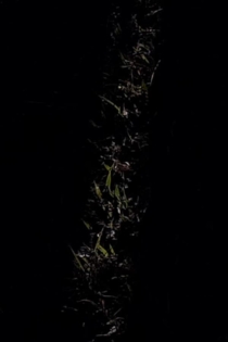 Vim Aqui Fazer Um Mapa