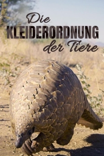 Die Kleiderordnung der Tiere - Wer trägt was und warum