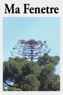 Ma Fenetre