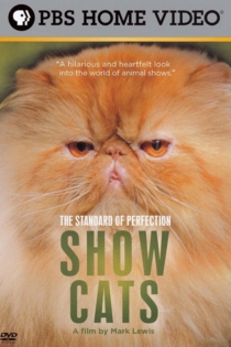 Standard of Perfection: Show Cats
