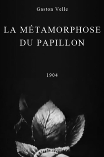 La Métamorphose du papillon