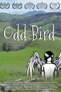 Odd Bird