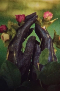 Midi dans le cimetière