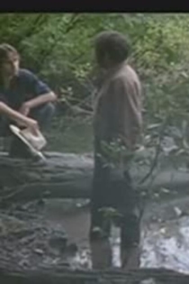 What Sebastian Dreamt