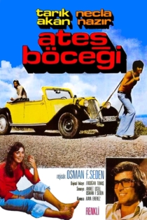 Ateş Böceği