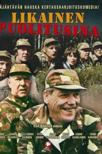 Likainen puolitusina