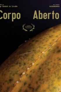 Corpo Aberto