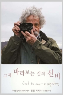 Just To See - A Mystery