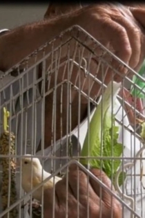 9+1 Moments of Loneliness