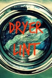 Dryer Lint