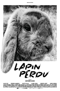 Lapin perdu