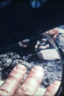 Episodes from the Secret Life