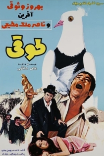 طوقی