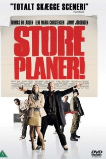 Store planer