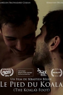 Le pied du koala