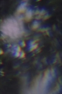 Дерево как человек