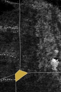 Le Frémissement s’envole à bras ouverts, Adieu.