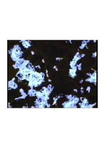 What The Water Said, nos. 4-6