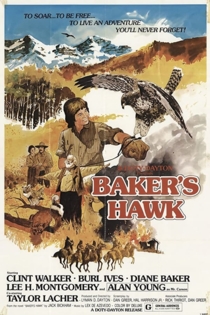 Baker's Hawk