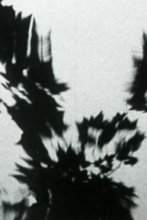 Sheller Shares her Secret