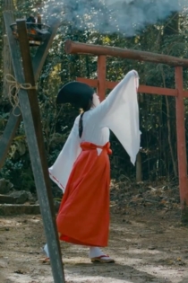 Record of The Arakamuna [GEMSTONE Godzilla Entry]