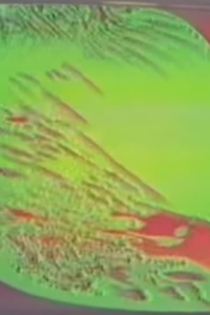 C'era una volta un Re