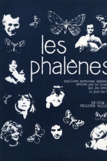 Les phalènes