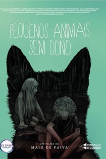 Pequenos Animais Sem Dono