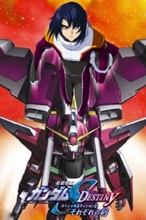 Mobile Suit Gundam SEED Destiny Special Edition II - Their Respective Swords