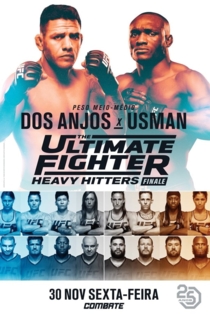 The Ultimate Fighter 28: Heavy Hitters Finale