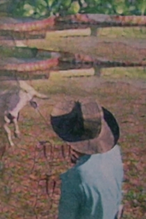 Pantanal: Las Aguas de la Vida