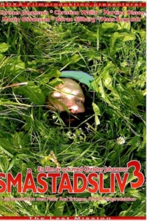 Småstadsliv 3