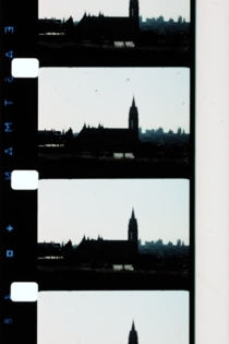 Group III: Sunlight/Floating/Afternoon