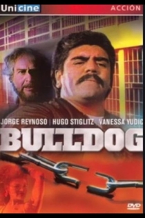 Bulldog