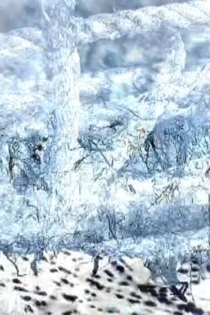 Ecosystem－15－Lunar Libration