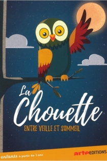 La chouette du cinema, entre veille et sommeil