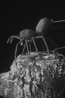 Urban Science: To Demonstrate How Spiders Fly