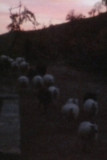 Falamos de Rio de Onor