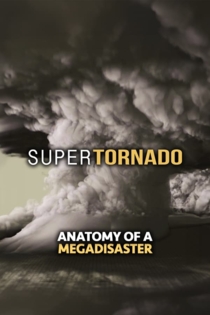 SuperTornado: Anatomy of a MegaDisaste