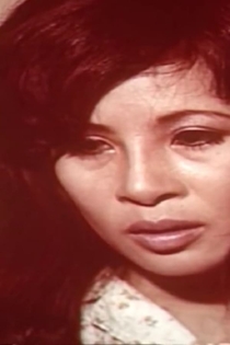 Phiên Tòa Cần Chánh Án