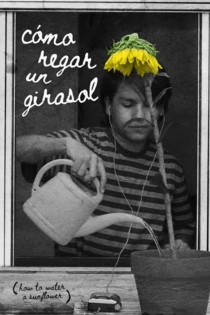 Cómo Regar Un Girasol