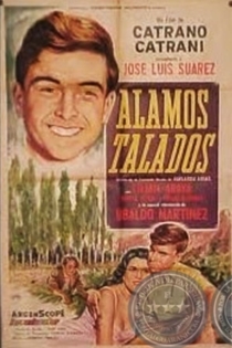 Álamos talados