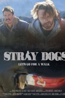 Stray Dogs