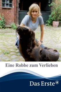 Eine Robbe zum Verlieben