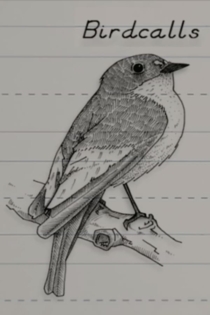 Birdcalls