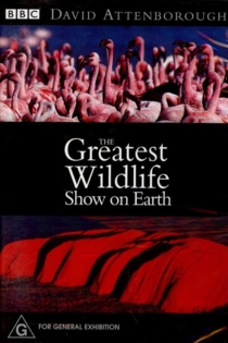 The Greatest Wildlife Show on Earth