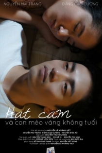 Hạt cam và con mèo vàng không tuổi