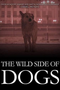 The Wild Side of Dogs
